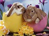 Easter!:)