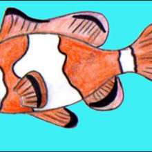 How to draw a Clownfish