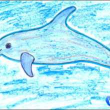 How to draw a dolphin