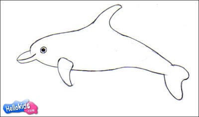 dolphin-drawing-lesson15