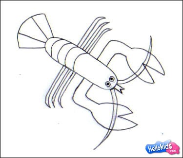 lobster-drawing-lessons5