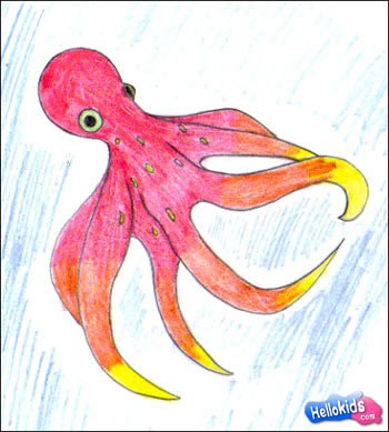 How to draw octopus Hellokidscom