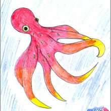 How to draw an octopus - Draw - HOW TO DRAW - How to draw ANIMALS - How to draw SEA ANIMALS
