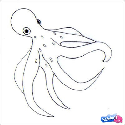 octopus-drawing-lessons3