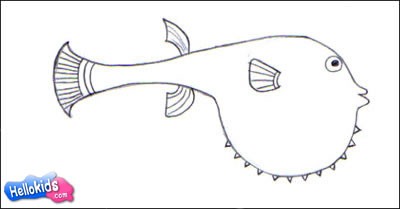 puffer fish drawings for kids