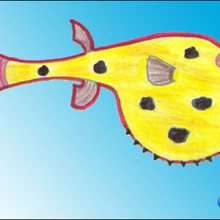 How to draw a pufferfish