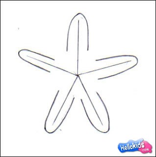 How to draw sea star - Hellokids.com