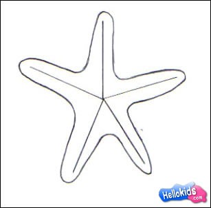 sea-star-drawing-lessons4
