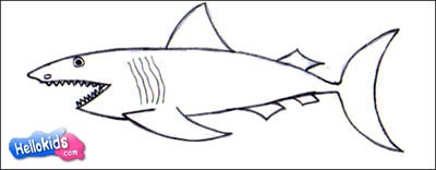 shark-drawing-lessons4