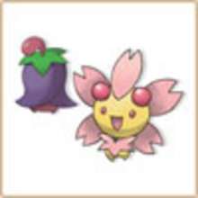 Cherrim pokémon coloring page - Coloring page - MANGA coloring pages - POKEMON coloring pages - GRASS POKEMON coloring pages