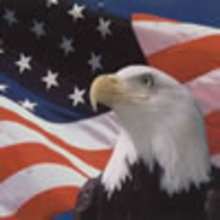 Flag Day, June 14th - News