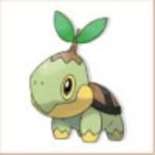 Turtwig coloring page - Coloring page - MANGA coloring pages - POKEMON coloring pages - GRASS POKEMON coloring pages