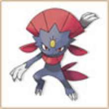 Weavile coloring page
