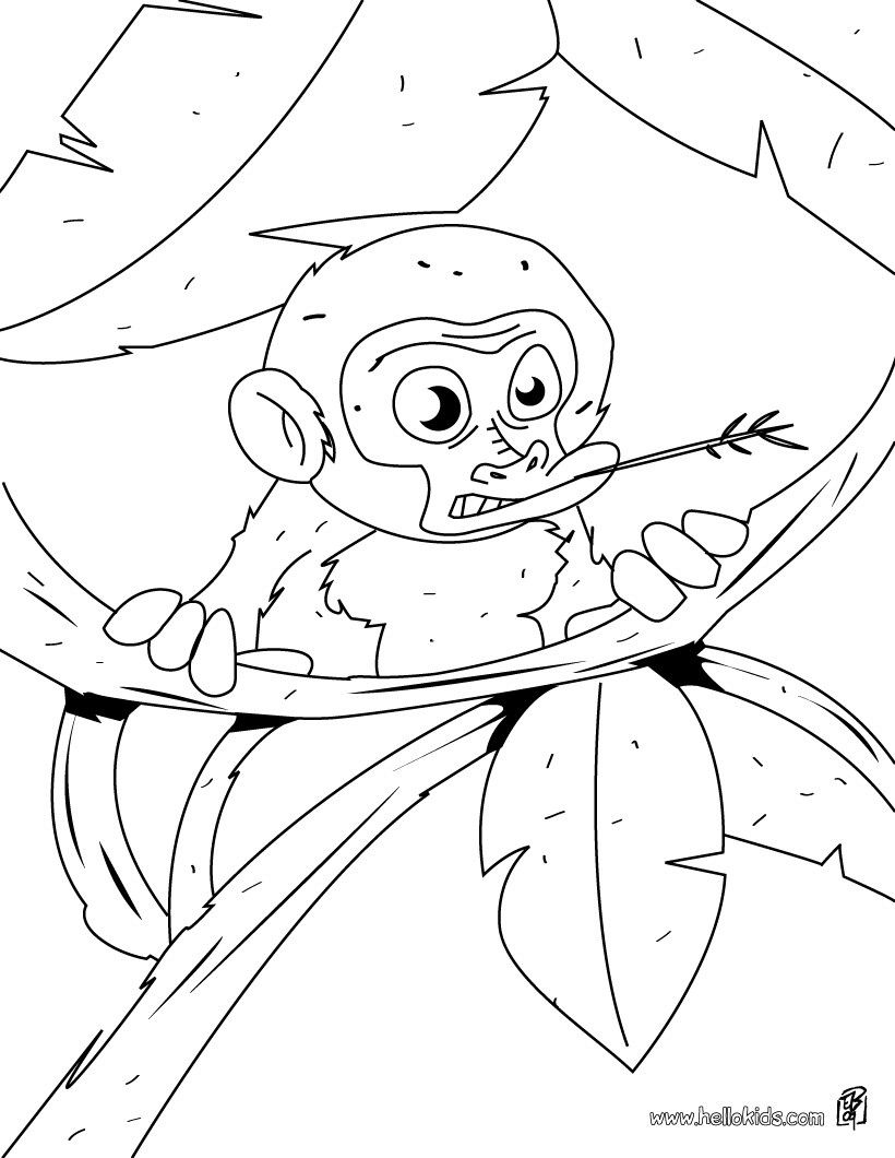 Baby monkey in the tree coloring pages   Hellokids.com