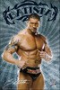 Professional Wrestling