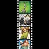 Favorite movies - Pictures