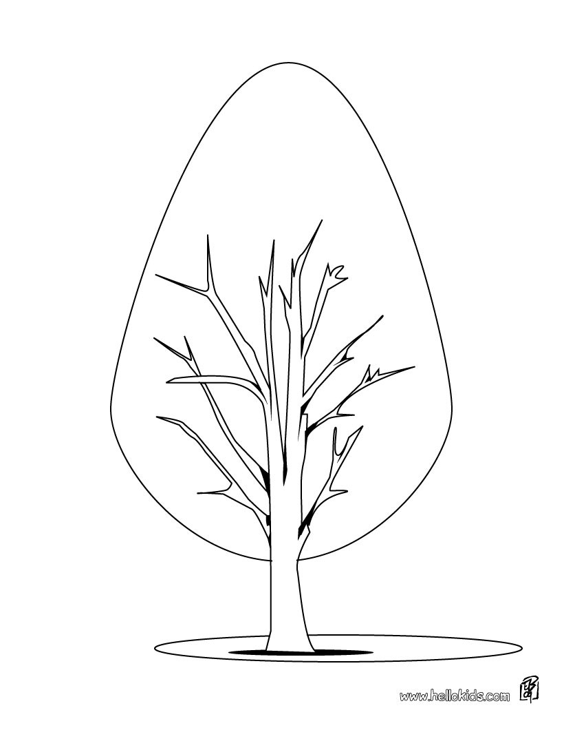 tree coloring pages coloring pages printable coloring pages