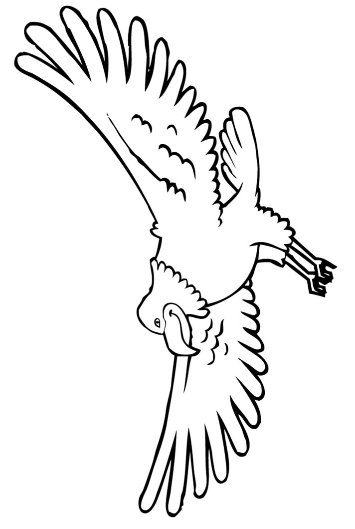 eagle coloring pages for kids - photo #50