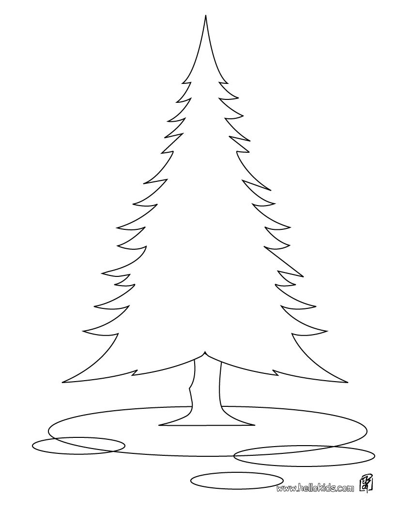Pine tree coloring pages Hellokids