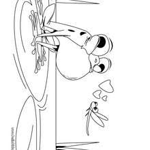 Frog in love coloring page - Coloring - ANIMAL coloring pages - REPTILE coloring pages - FROG coloring pages