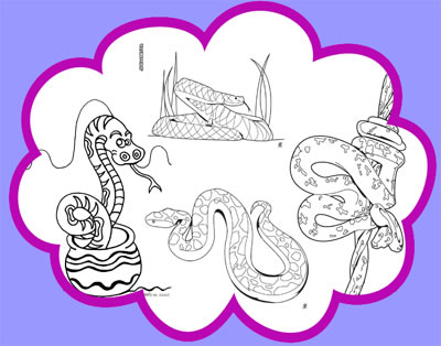 snake-coloring-pages