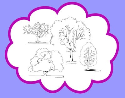 tree-coloring-pages