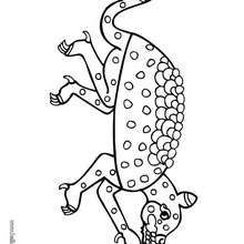 Armadillo coloring page