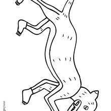 Dog coloring page
