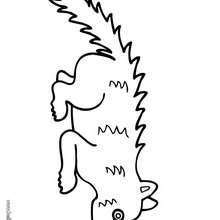 Skunk coloring page - Coloring - Animal coloring pages - Prehispanic animal coloring pages