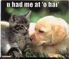 cute puppie pic plz comment and rate!!
