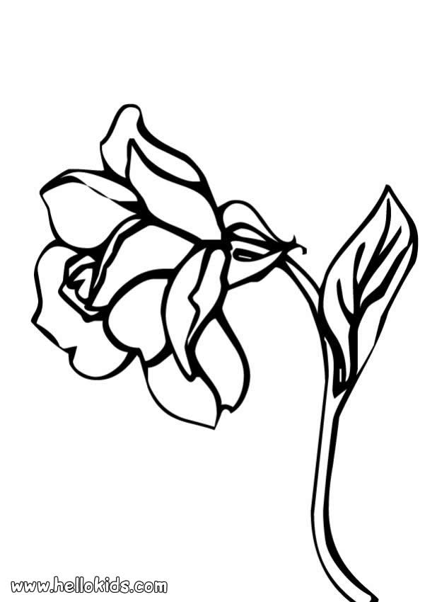 coloring pages for girls flowers roses