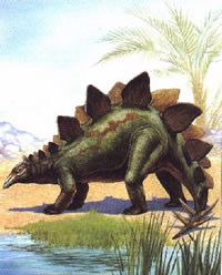 Dinosaurus-Stegosaurus