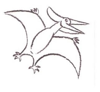 pteranodon-step4