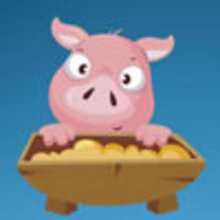 What is Swine Flu or Swine Influenza ? 