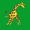 Learn how to draw wild animals