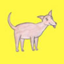 How to draw a dog