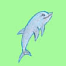 How to draw a happy dolphin