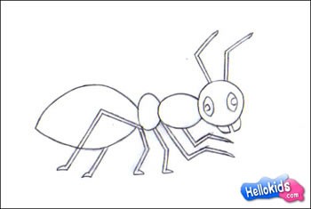 ANT drawing lesson