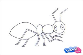 How to draw ant - Hellokids.com