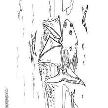 Big fish monster coloring page - Coloring page - HOLIDAY coloring pages - HALLOWEEN coloring pages - HALLOWEEN MONSTER coloring pages