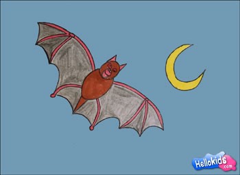 how-to-draw-bat