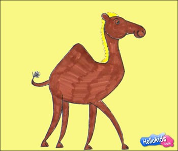 How to Draw a Camel