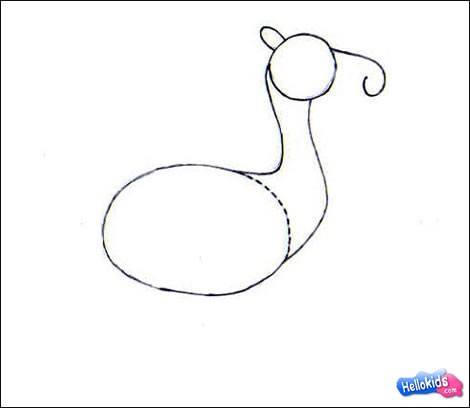 how-to-draw-camel-step2