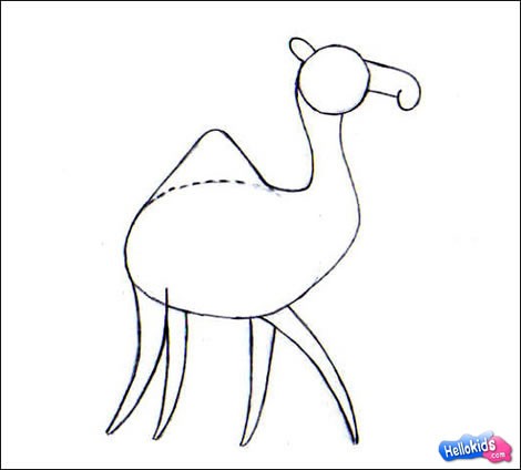 how-to-draw-camel-step3