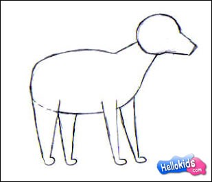 how-to-draw-dog-step3