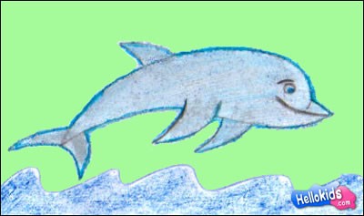 how-to-draw-dolphin
