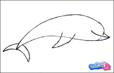 how-to-draw-dolphin-step3