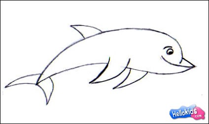 how-to-draw-dolphin-step4