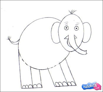 how-to-draw-elephant-step4