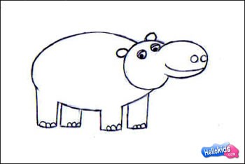 How to draw hippopotamus Hellokidscom